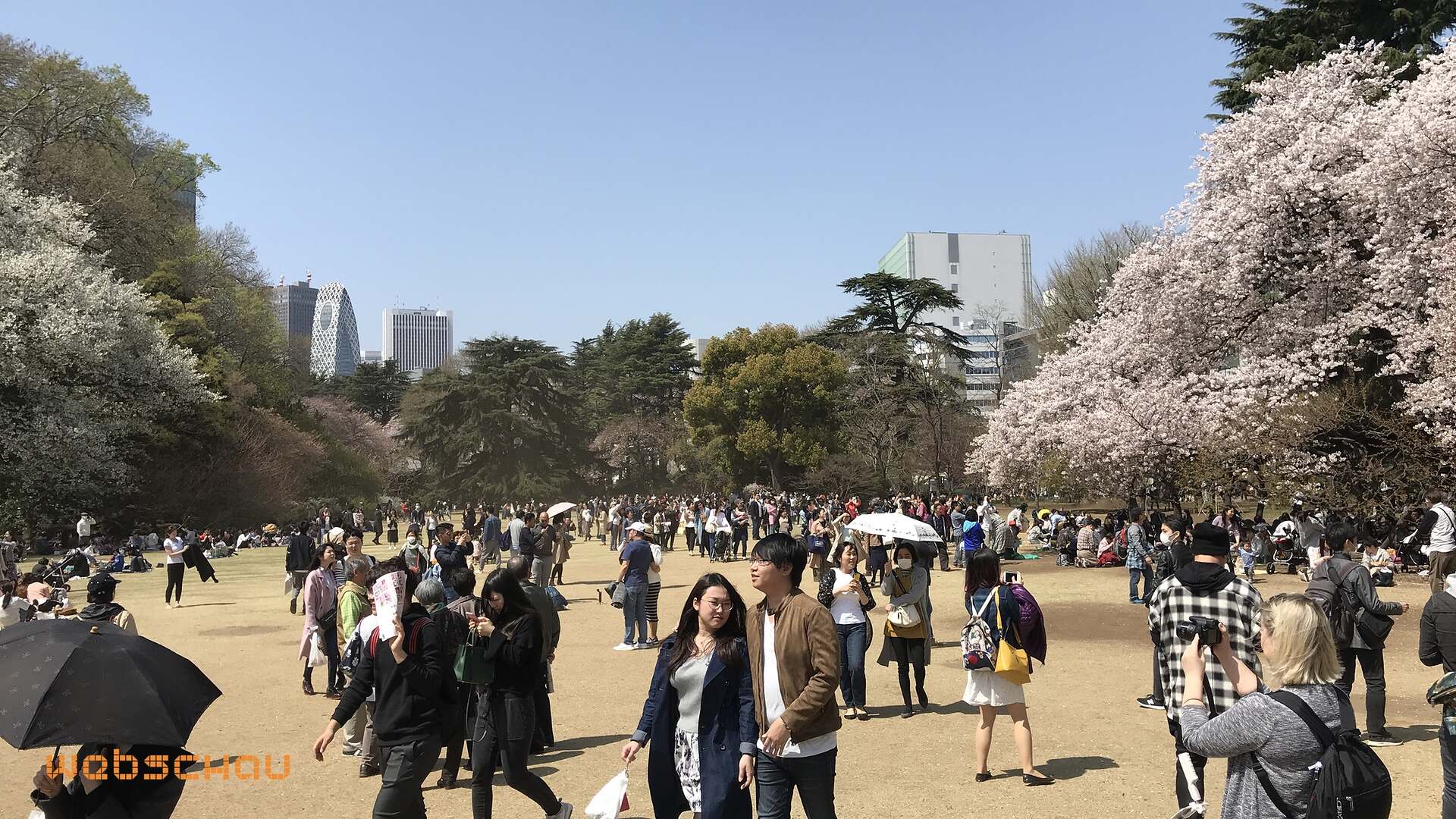 jap 01 tokyo-014