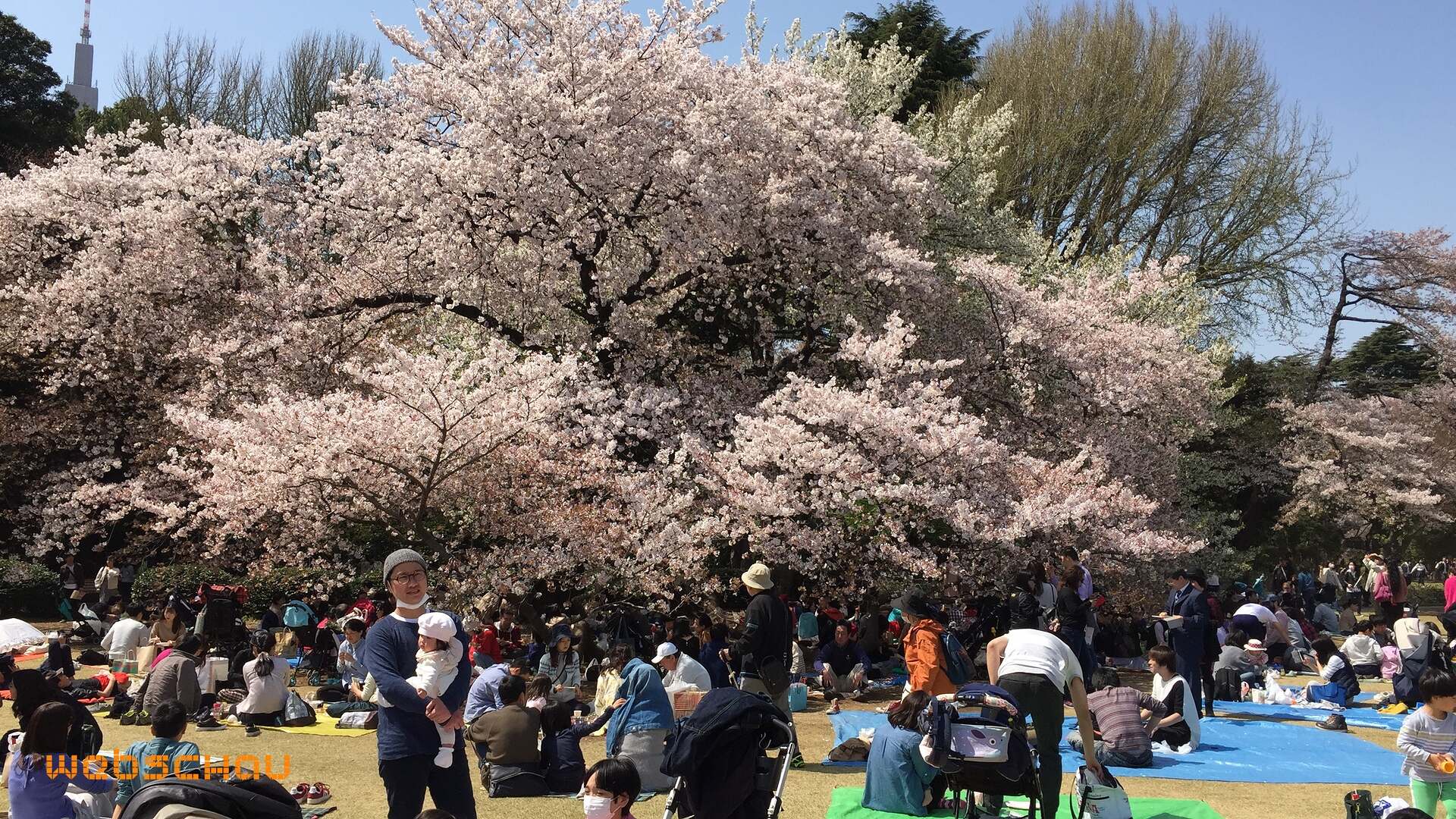 jap 01 tokyo-016