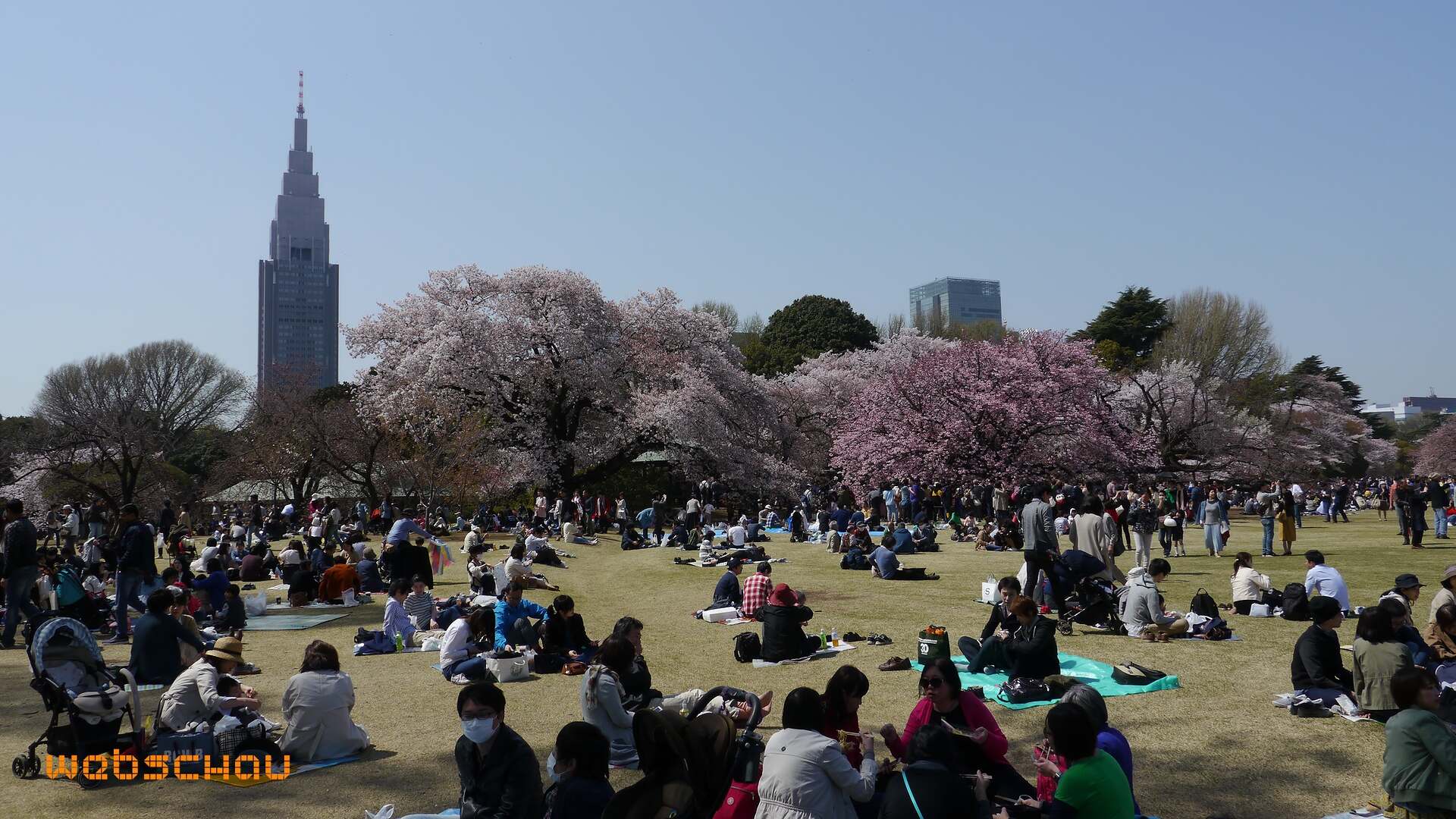 jap 01 tokyo-018