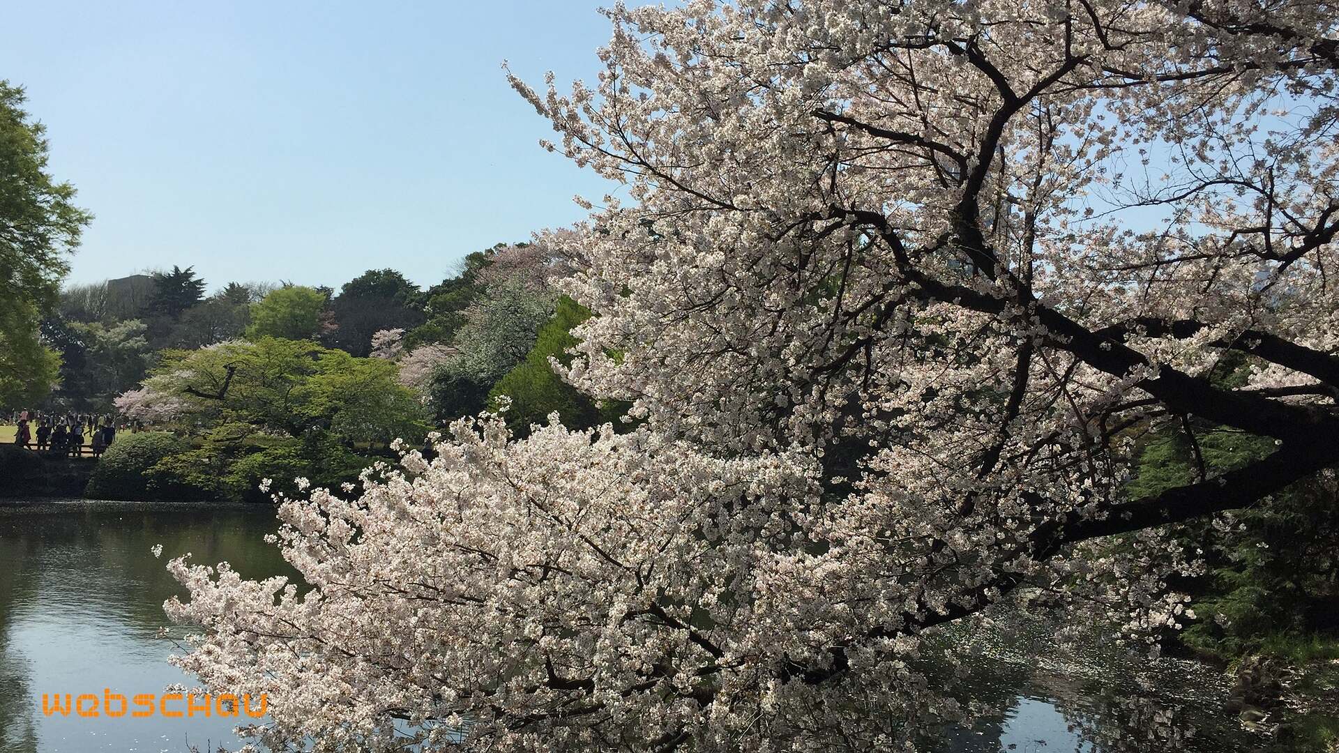 jap 01 tokyo-020