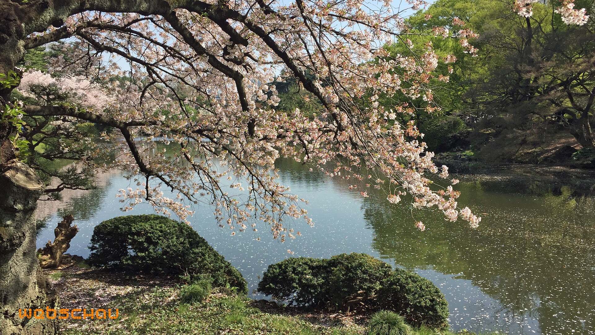 jap 01 tokyo-021