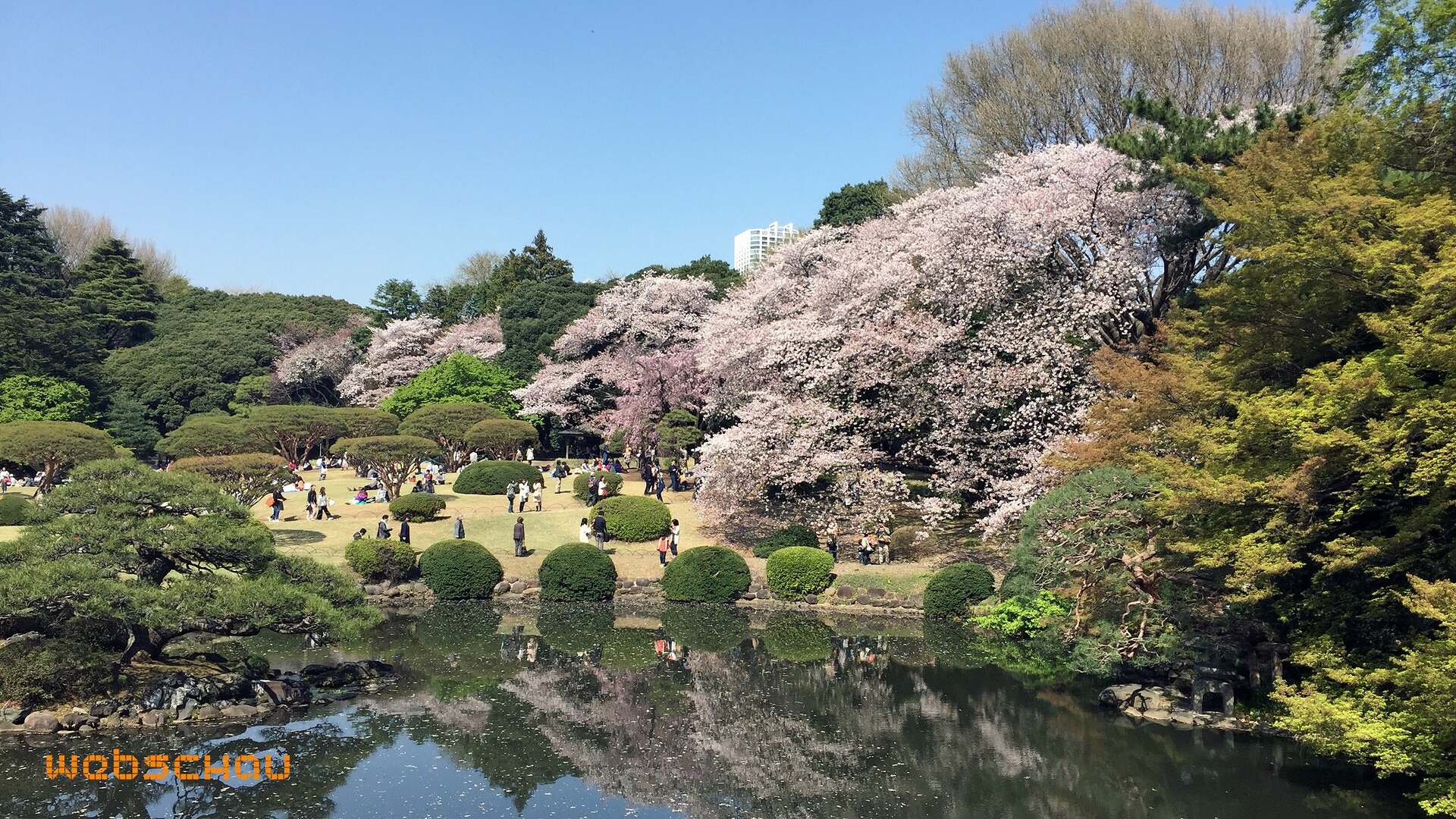 jap 01 tokyo-022