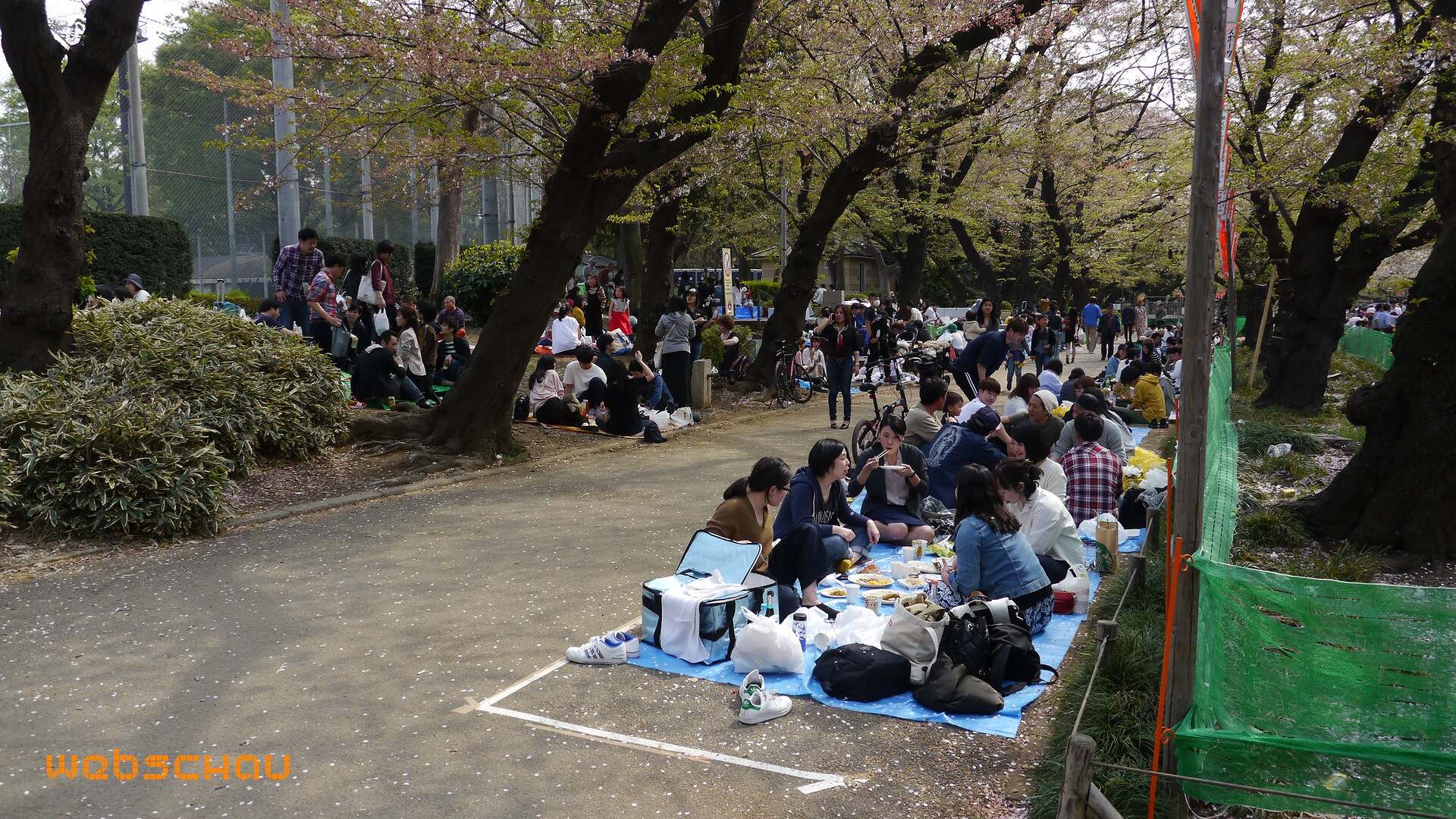 jap 01 tokyo-059