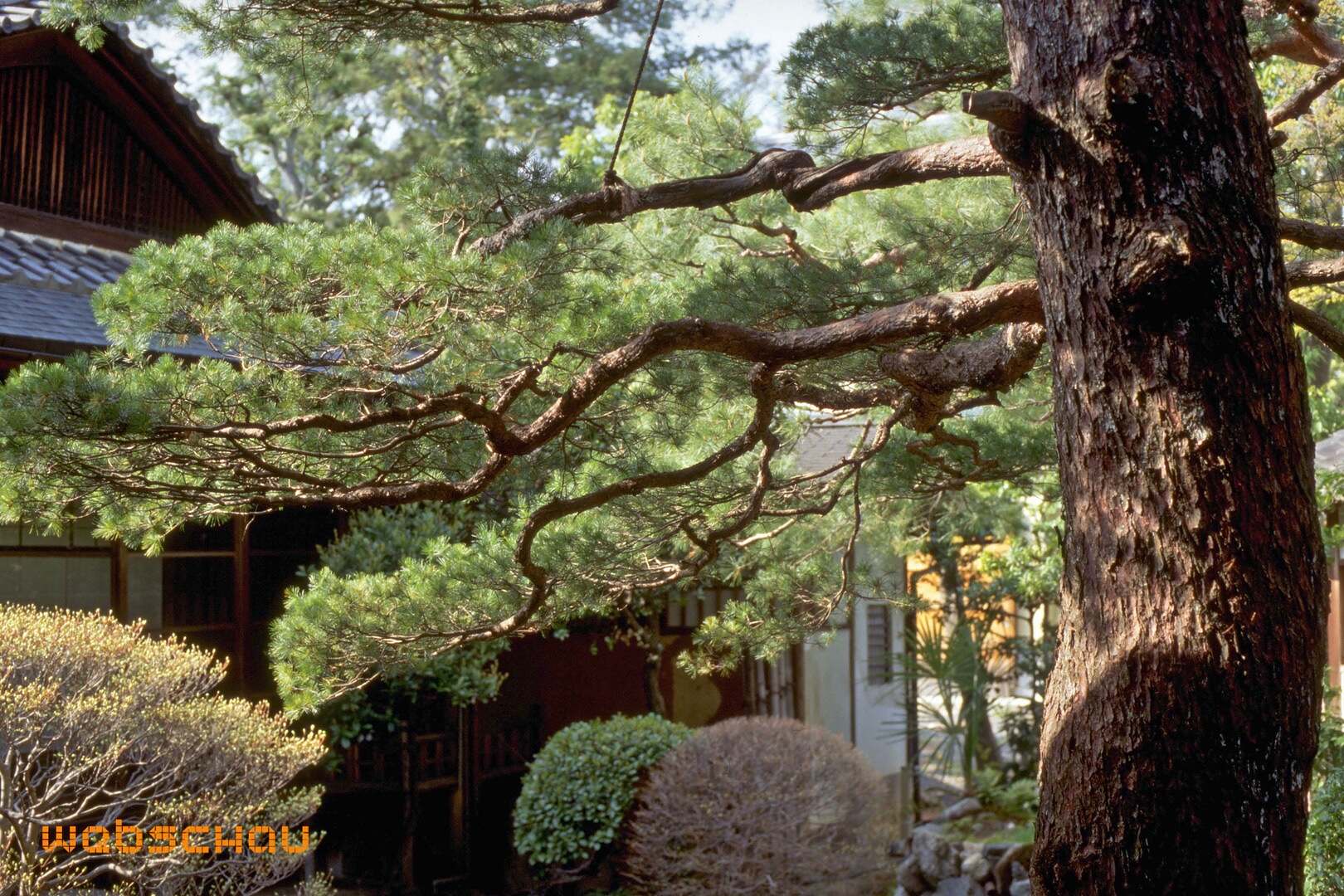 95 Japan 1_IMG0097