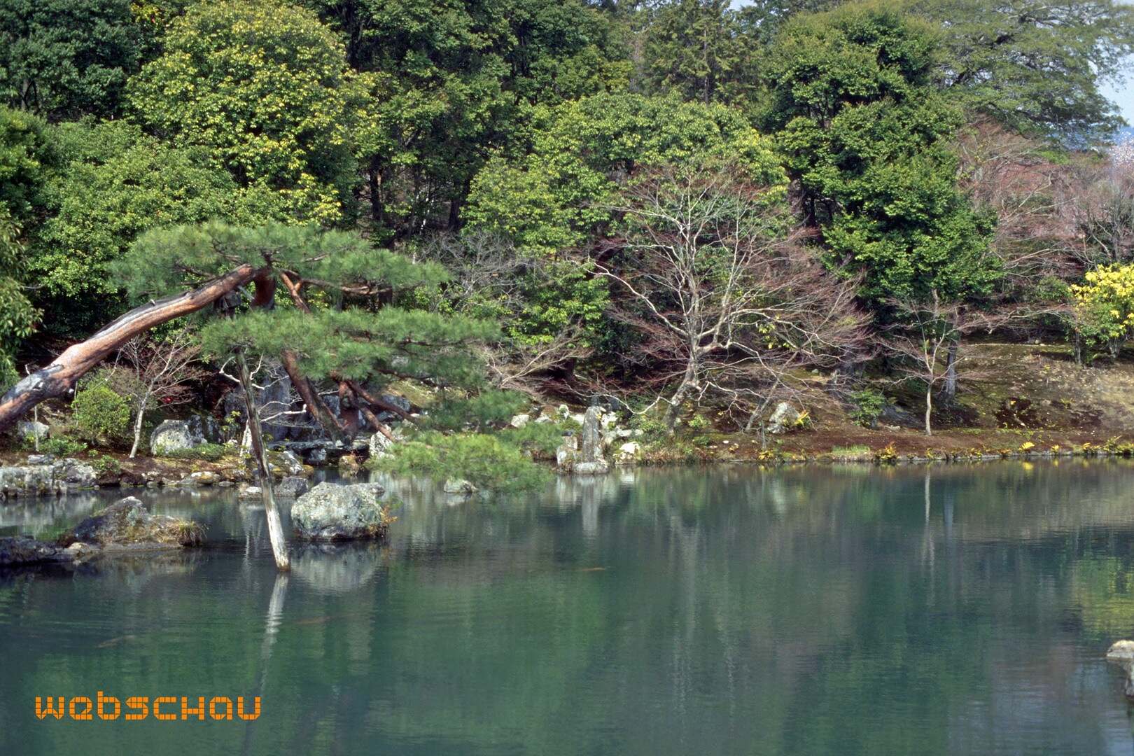 95 Japan 2_IMG0035