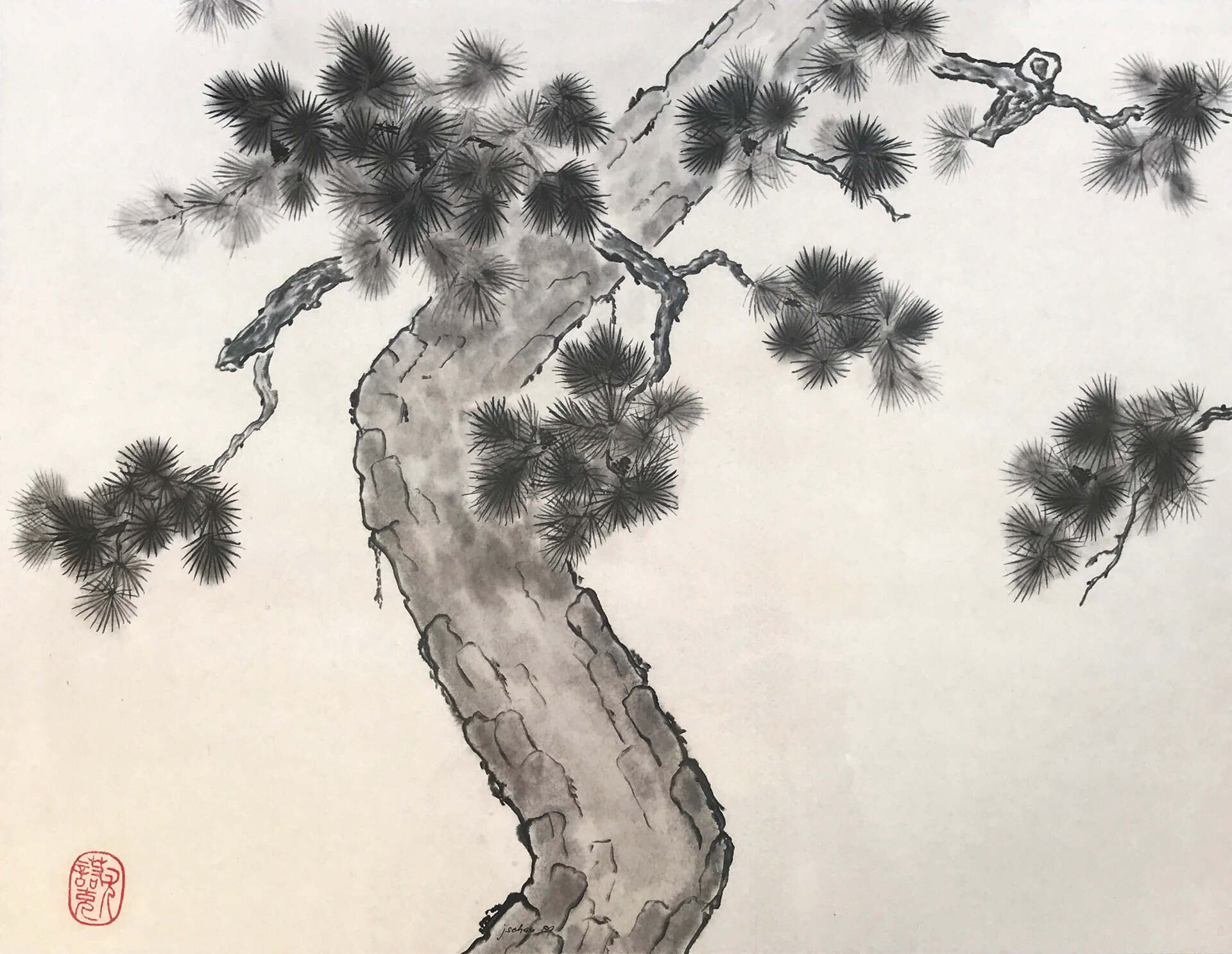sumie-pinie-1