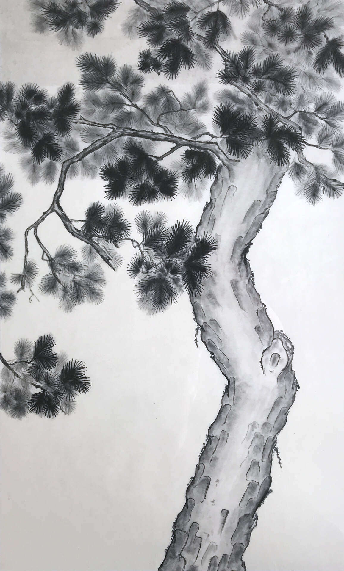 sumie-pinie-2