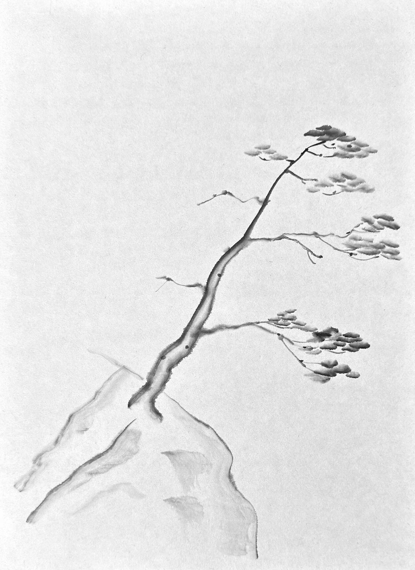 sumie-baum-auf-fels-web