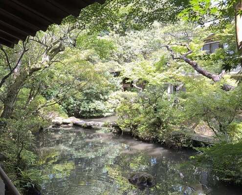 Shuzenji Onsen, im Ryokan
