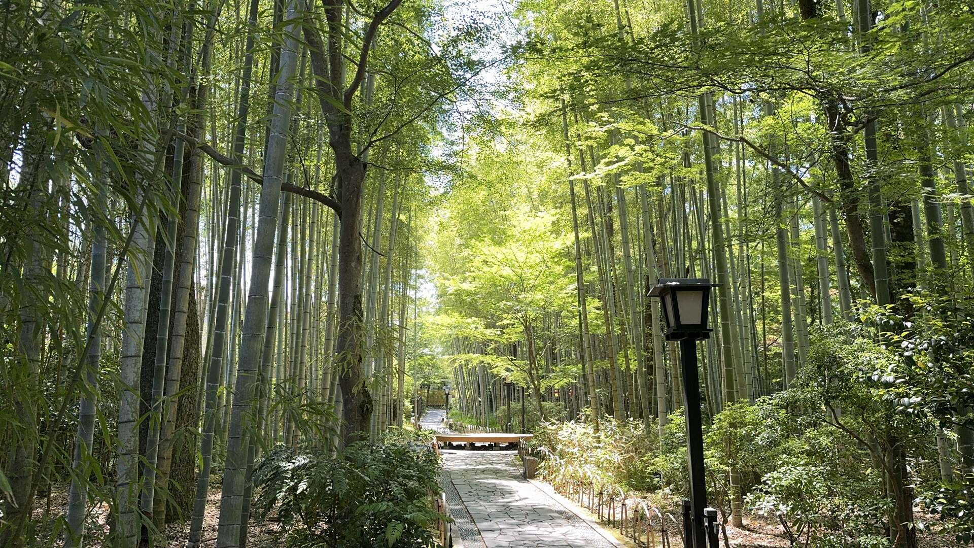 Shuzenji Onsen, Bambuswald