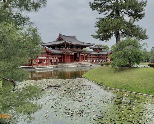 JAP Kyoto 2025 015