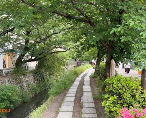 JAP Kyoto 2025 025