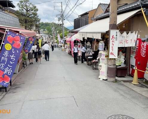 JAP Kyoto 2025 028