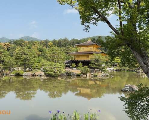 JAP Kyoto 2025 046
