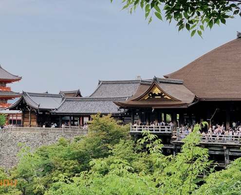 JAP Kyoto 2025 048