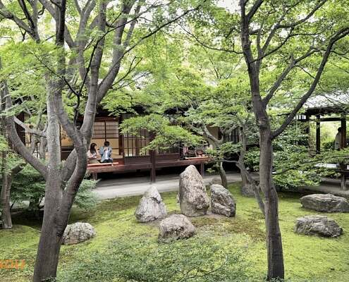 JAP Kyoto 2025 055
