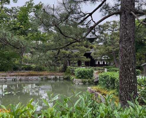JAP Kyoto 2025 061